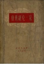 鲁班纽克一家  第1卷  契斯塔亚克里尼查村 封面