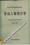 劳动人事统计学 封面