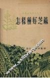 怎样种好芝麻 封面