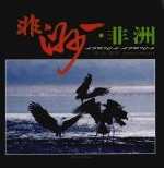 非洲·非洲 封面