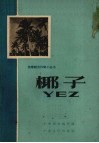 椰子 电子书封面