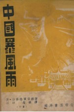 中国暴风雨  下 封面