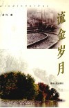 流金岁月 封面