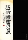 赵险峰书法选 封面