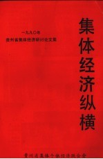 集体经济从横 封面