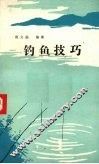 钓鱼技巧 封面