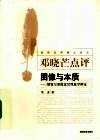 图像与本质  胡塞尔图像意识现象学辨正 电子书封面