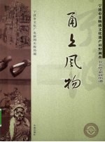 甬上风物  宁波市非物质文化遗产田野调查  北仑区·新碶街道 封面