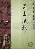 甬上风物  宁波市非物质文化遗产田野调查  北仑区·戚家山街道 封面
