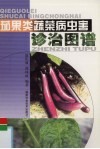 茄果类蔬菜病虫害诊治图谱 封面
