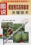 图说棚室西瓜高效栽培关键技术 封面