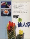 看图养仙人掌 封面