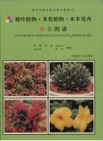 观叶植物·多浆植物·木本花卉原色图谱 封面