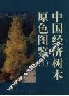 中国经济树木原色图鉴  1 封面
