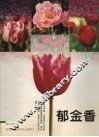 郁金香 电子书封面