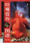 家庭观赏鱼图谱 封面