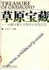 草原宝藏  内蒙古重大文物考古发现纪实 封面