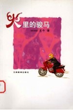 火里的骏马 封面