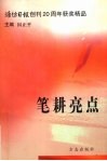 笔耕亮点  淮坊日报创刊二十周年获奖精品 封面