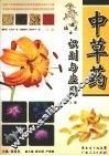 中草药识别与应用  上 封面