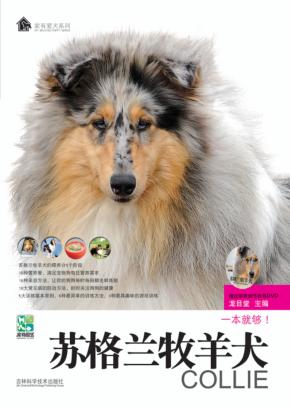 苏格兰牧羊犬 封面