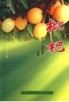 枇杷 封面
