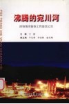 沸腾的宛川河  酒钢集团榆钢工程建设纪实 封面