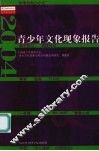 青少年文化现象报告  2004 电子书封面