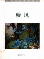 中国当代画家画丛  璇风 封面