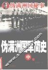伪满洲国军简史  中 封面