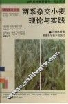 两系杂交小麦理论与实践 封面