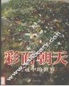 彩面朝天  吴冠中的世界 封面