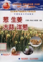 葱生姜大蒜洋葱 封面