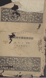 绞索勒着勃子时报告 封面