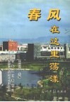 春风在这里荡漾 封面