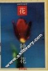 种花 封面
