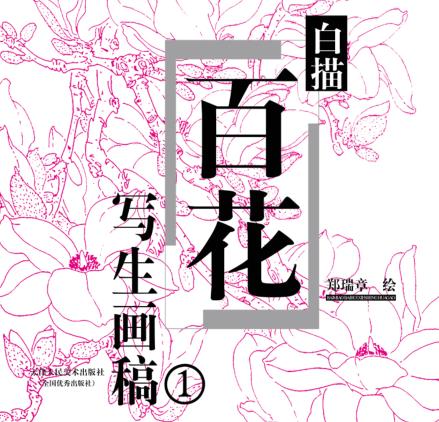 白描百花写生画稿  1