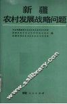 新疆农村发展战略问题 封面