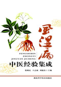 风湿病中医经验集成 封面