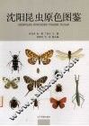 沈阳昆虫原色图鉴 封面