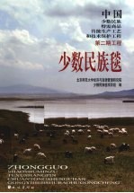 少数民族毯 电子书封面