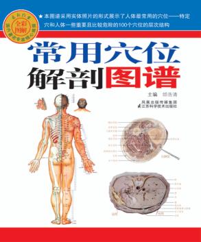 常用穴位解剖图谱 封面