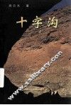 十字沟 电子书封面