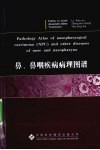 鼻鼻咽疾病病理图谱  英文版 封面