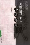 美国后现代主义小说详解  英文版 封面