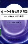 中小企业群体组织创新  虚拟组织的构建与实施 封面