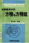 初等数学中的方程与方程组 封面