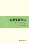 新型集体经济 封面
