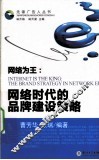 网络为王  网络时代的品牌建设策略 封面