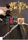 时尚花艺 封面